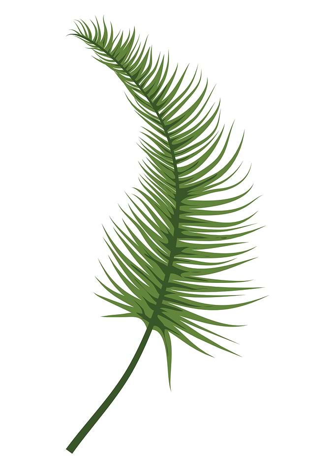 Leaf