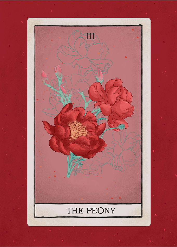 Peony tarot flower