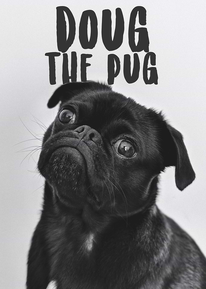 Dog Life Quote