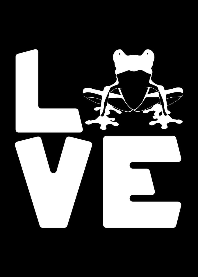 Frog Love Amphibians Frogs