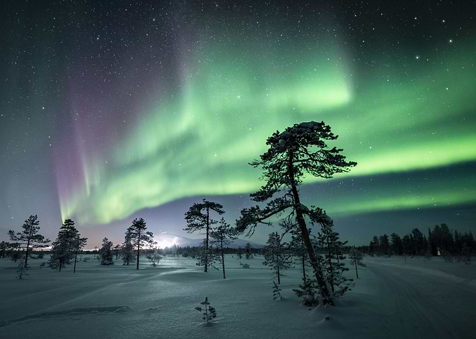 Winter Wilderness Lights