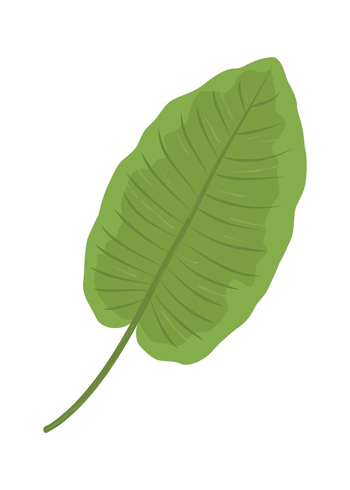 Leaf