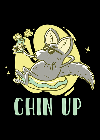 Chinchilla