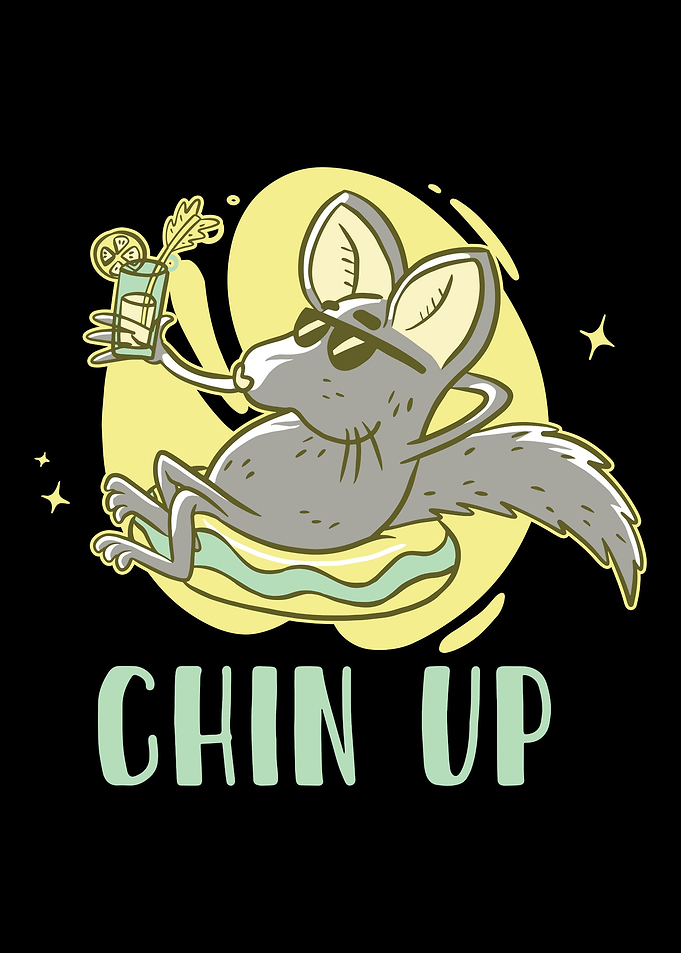 Chinchilla