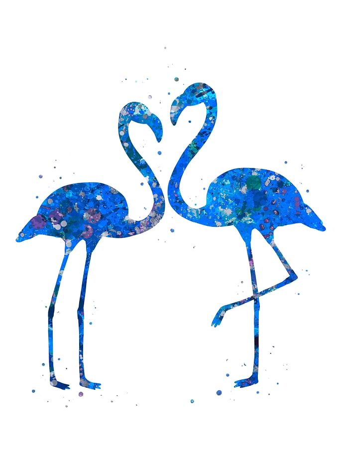 Flamingo blue art