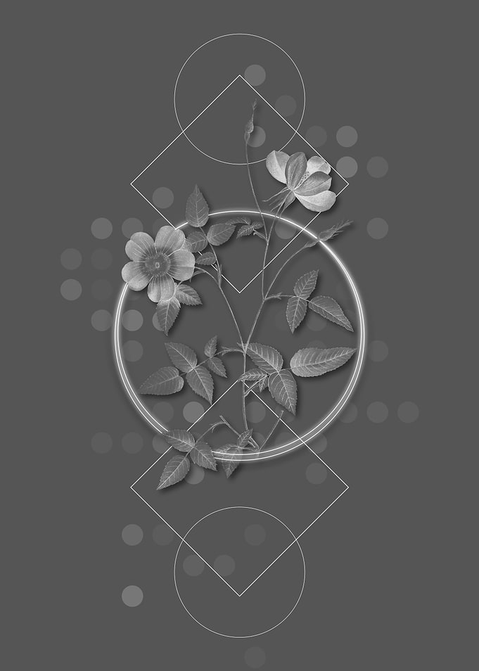 Vintage Geometric Flower