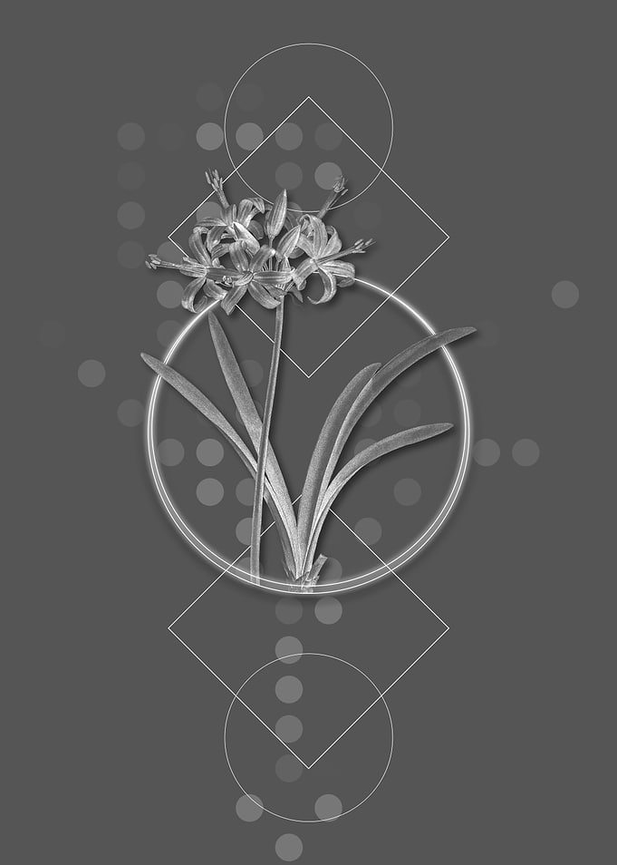 Vintage Grey Guernsey Lily