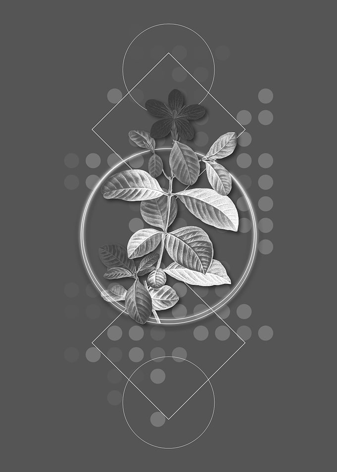 Moody Modern Gray Gardenia