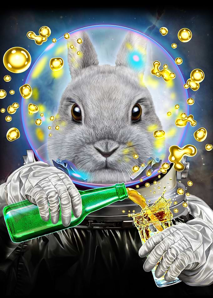 Astronaut Rabbit