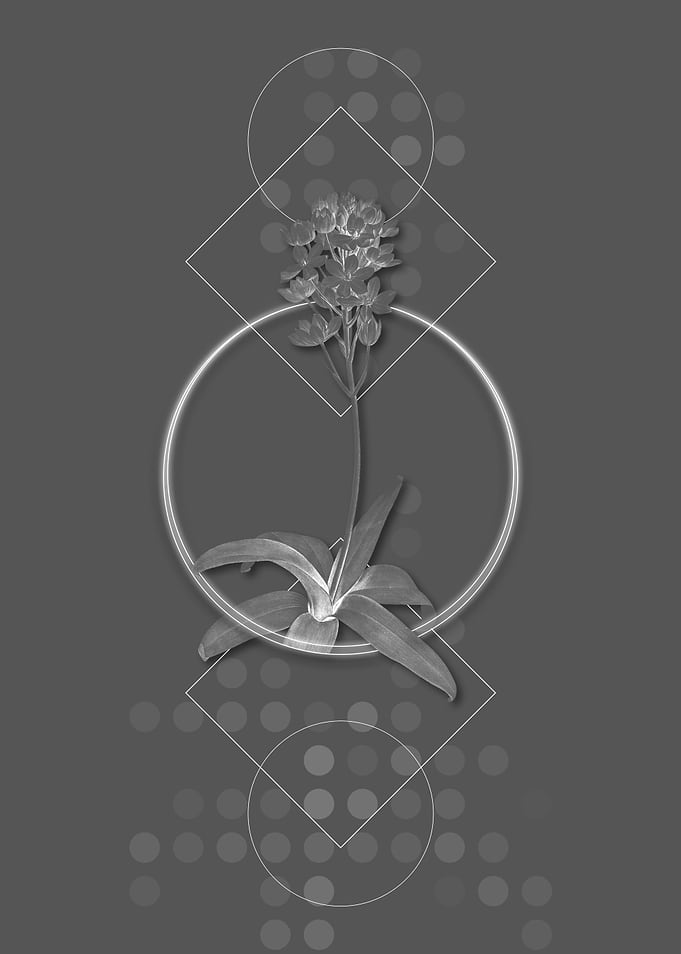 Vintage Sun Star Flower