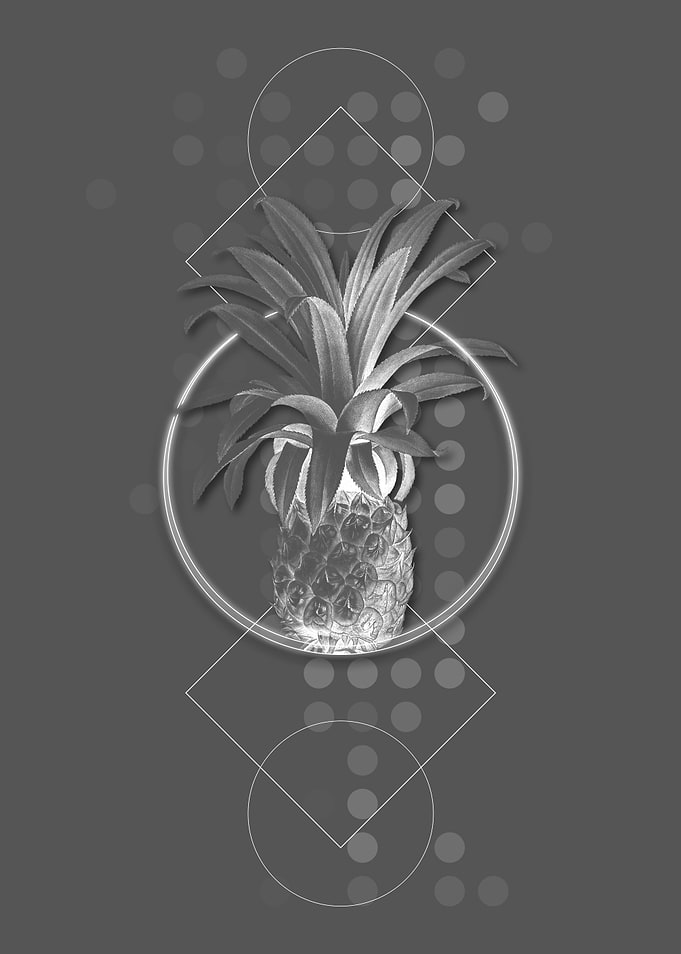 Moody Geometric Pineapple