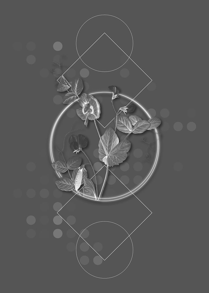 Geometric Gray Botanical