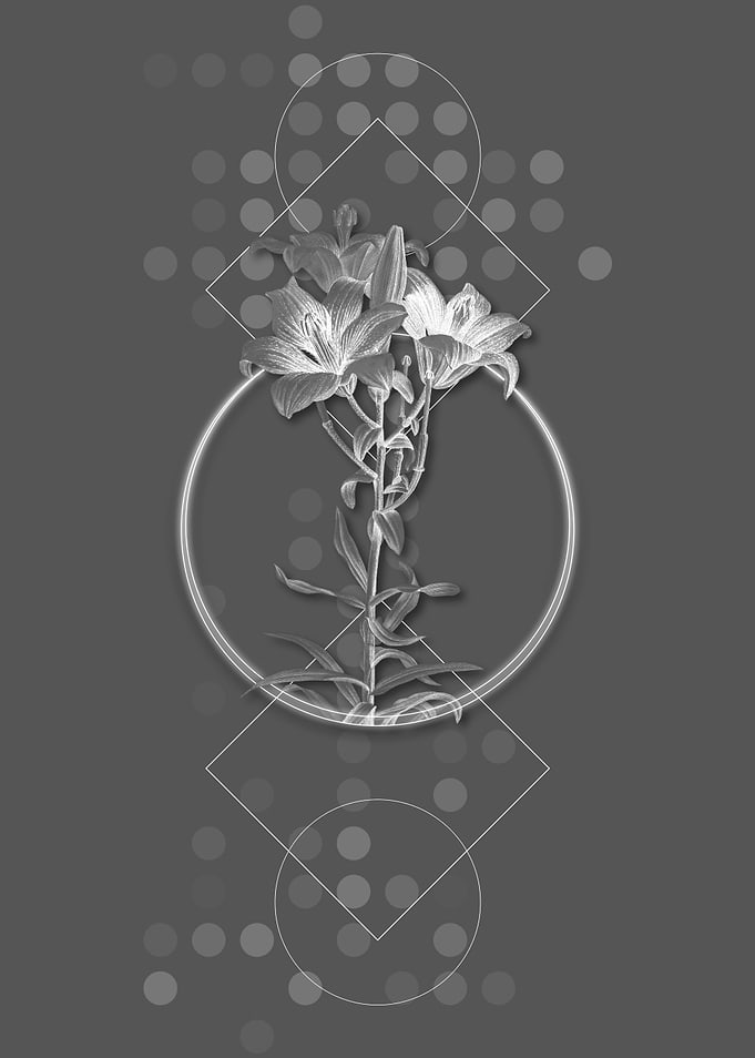Vintage Grey Fire Lily