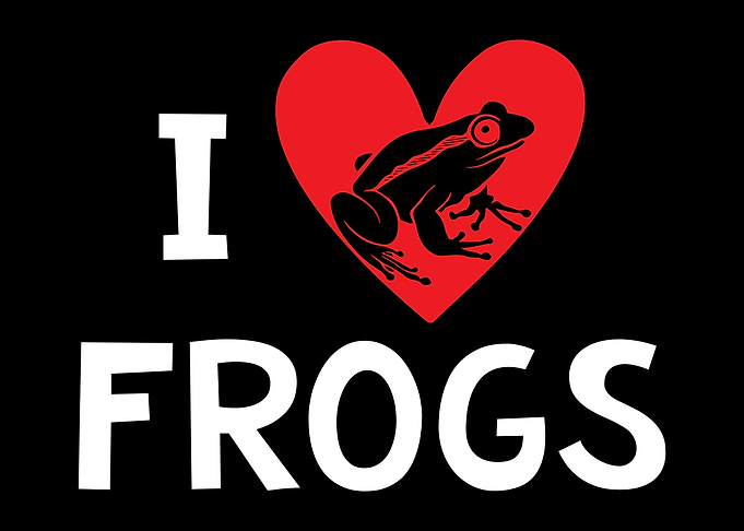 I Love Frogs Toad Frog