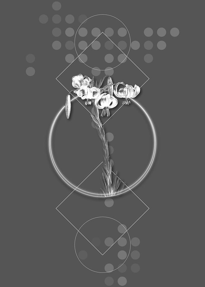 Vintage Lily Flower