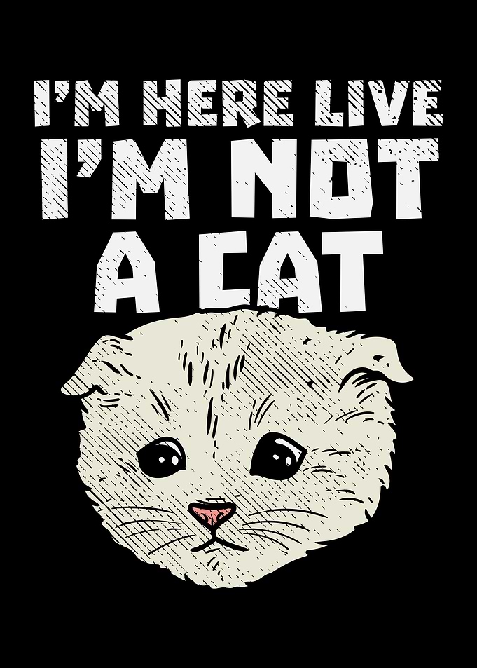 Im Here Live Im Not a