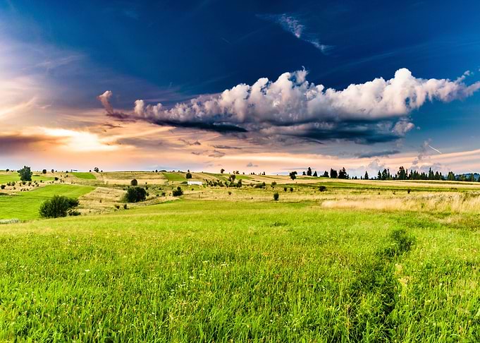 Open Countryside