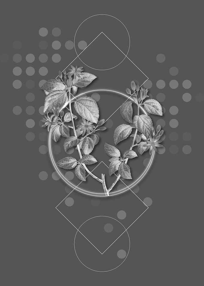 Geometric Gray Crossberry