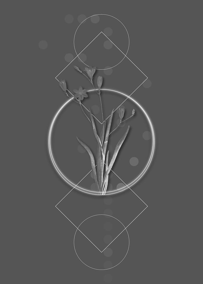 Vintage Geometric Flower