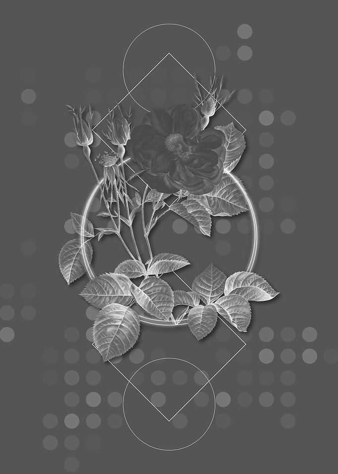Gray Vintage Rose Floral