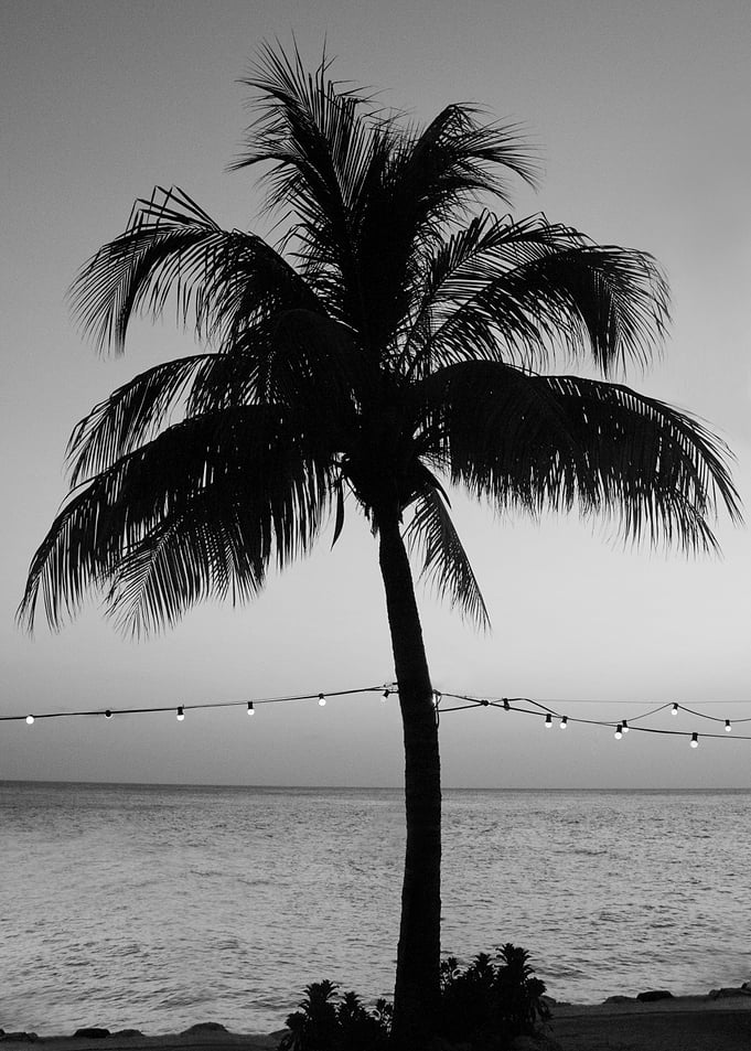 Vivid Palm Tree Dream 1