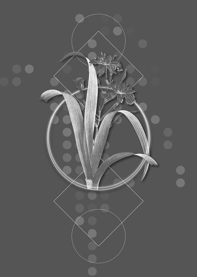 Vintage Geometric Flower