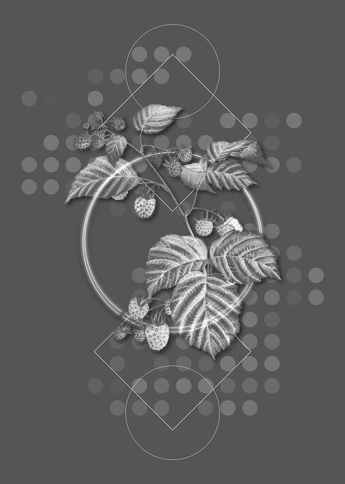 Gray Modern Raspberry