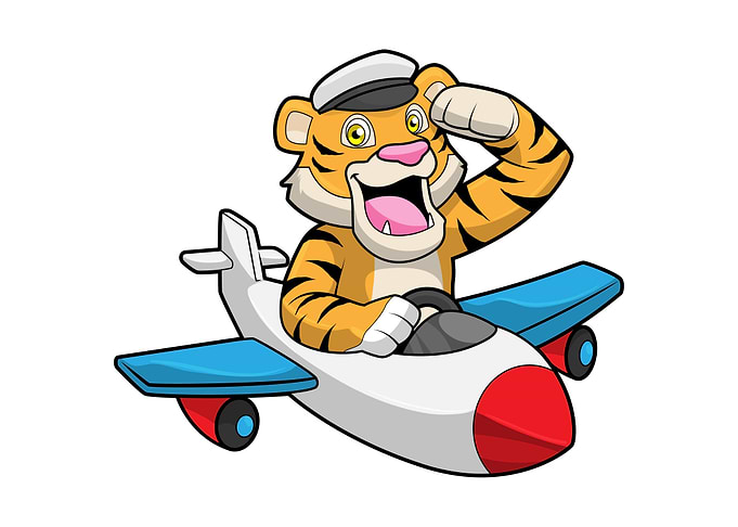 Tiger Pilot Plane