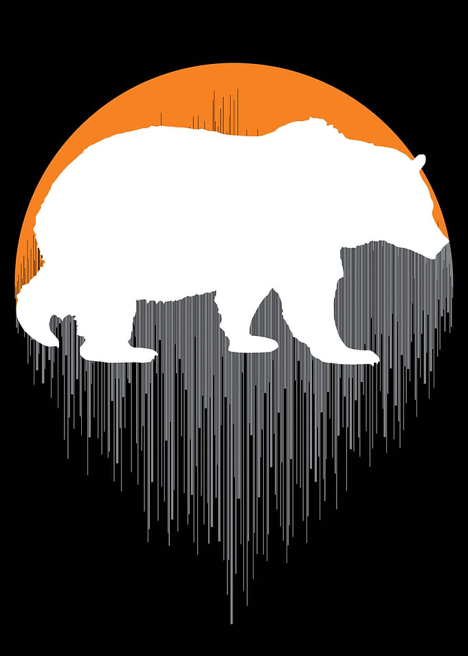 The Bear Downpour