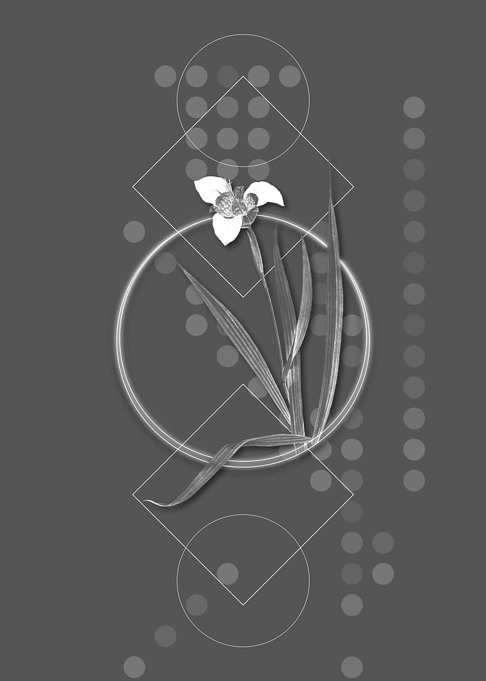 Geometric Tiger Flower