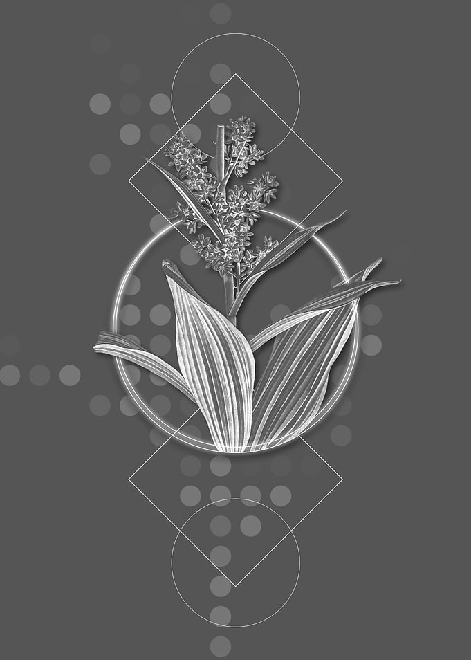Vintage False Helleborine