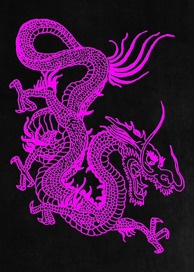 Fuchsia Chinese Dragon