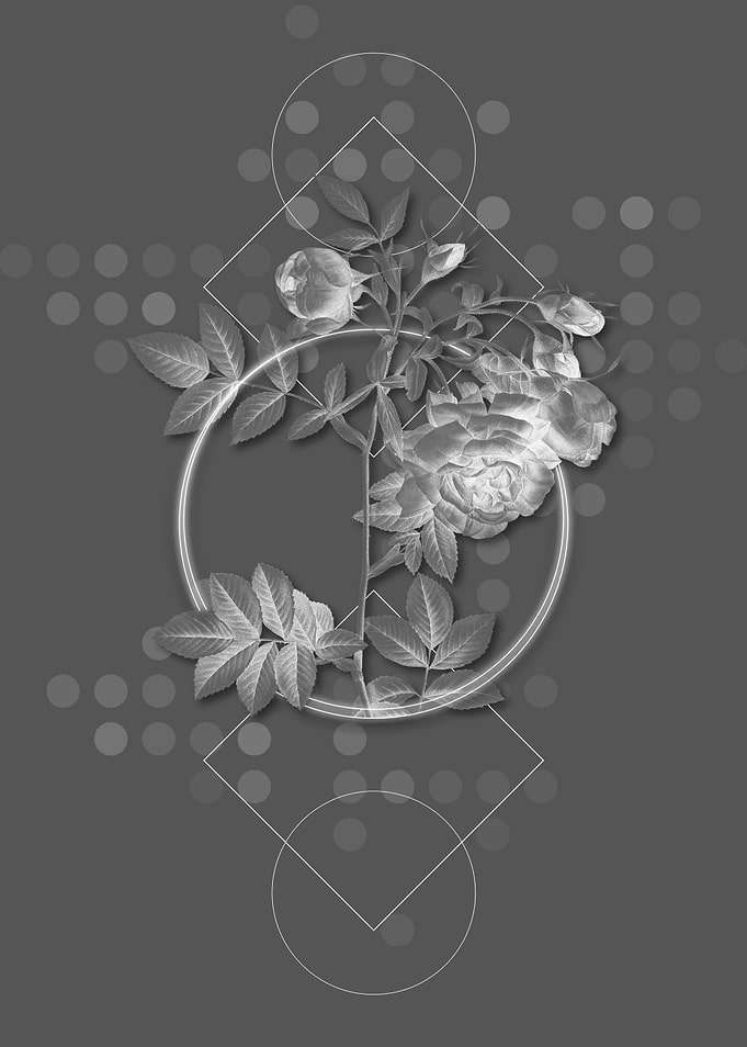 Blooming Turnip Roses
