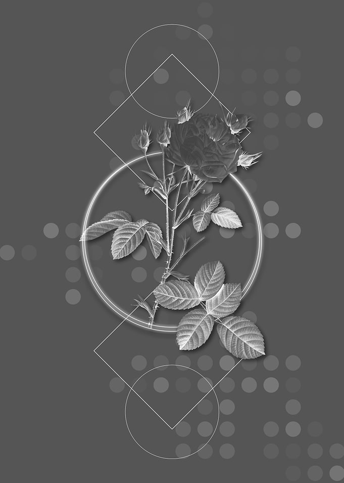Gray Vintage Rose Flower