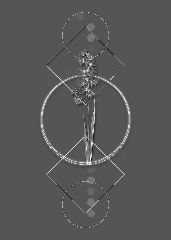 Geometric Turquoise Ixia