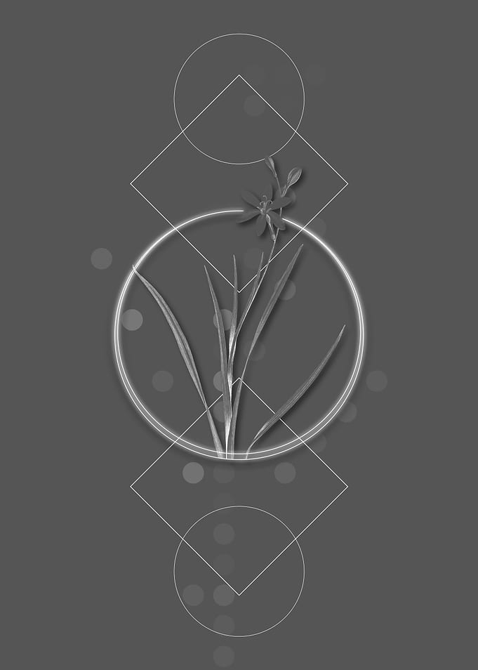 Vintage Geometric Flower