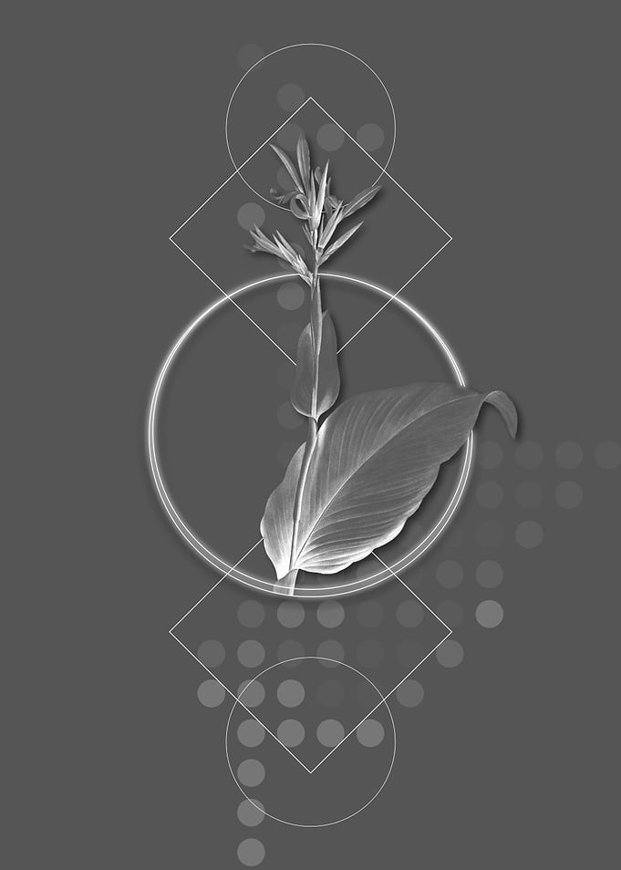 Geometric Modern Flower
