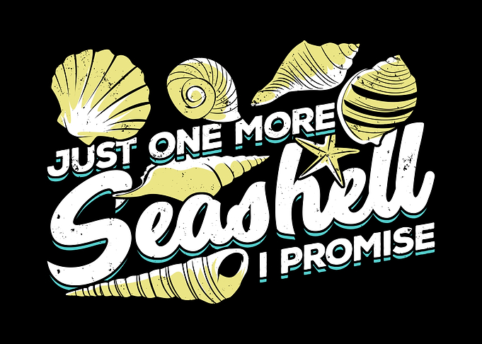 Seashell Hunting Design