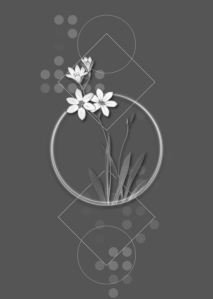 Vintage Geometric Flower