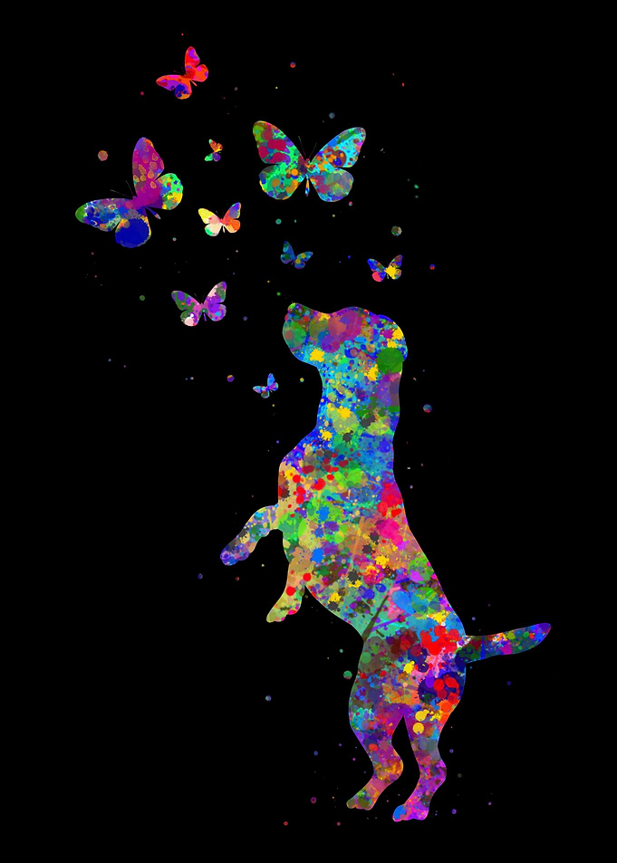 Beagle and butterfly