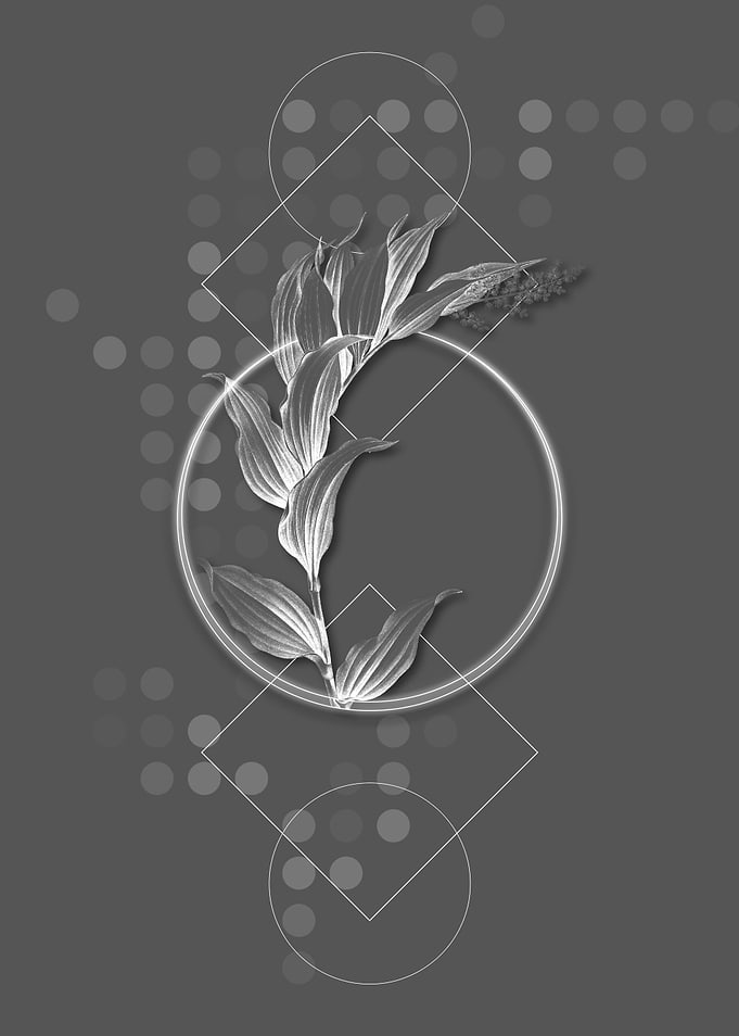 Geometric Treacleberry