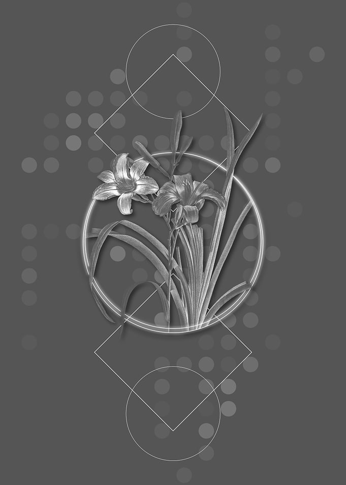 Vintage Orange Day Lily