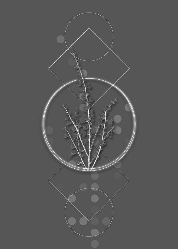 Gray Modern White Broom