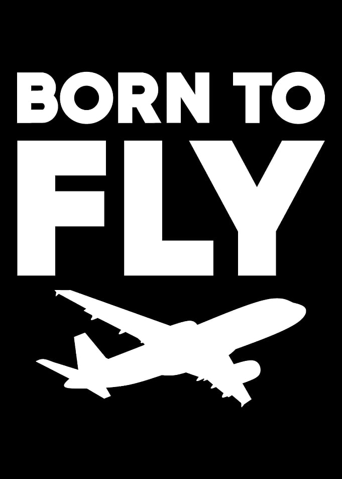 Born to Fly Cabin Attendan