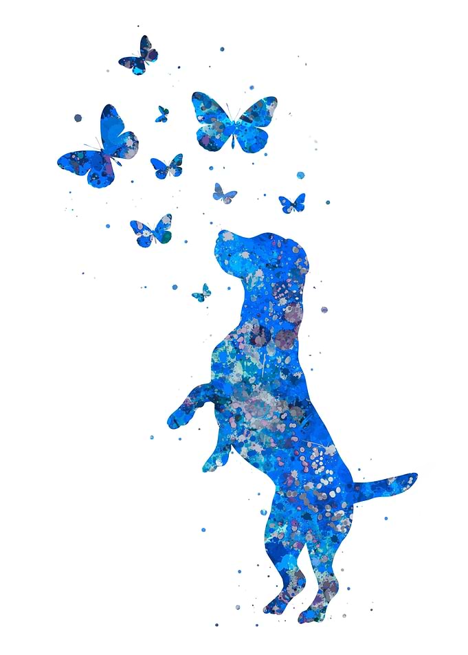 Beagle butterfly dog