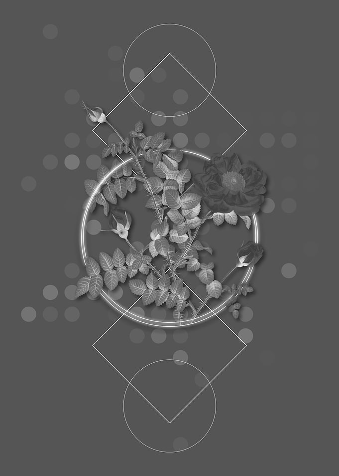 Gray Vintage Rose Flower
