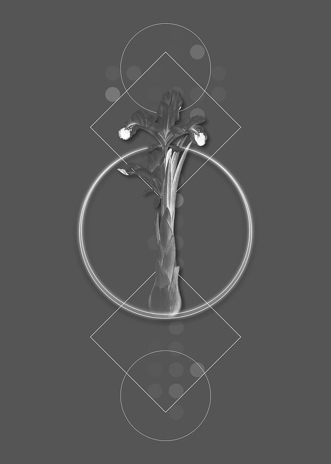 Vintage Geometric Flower