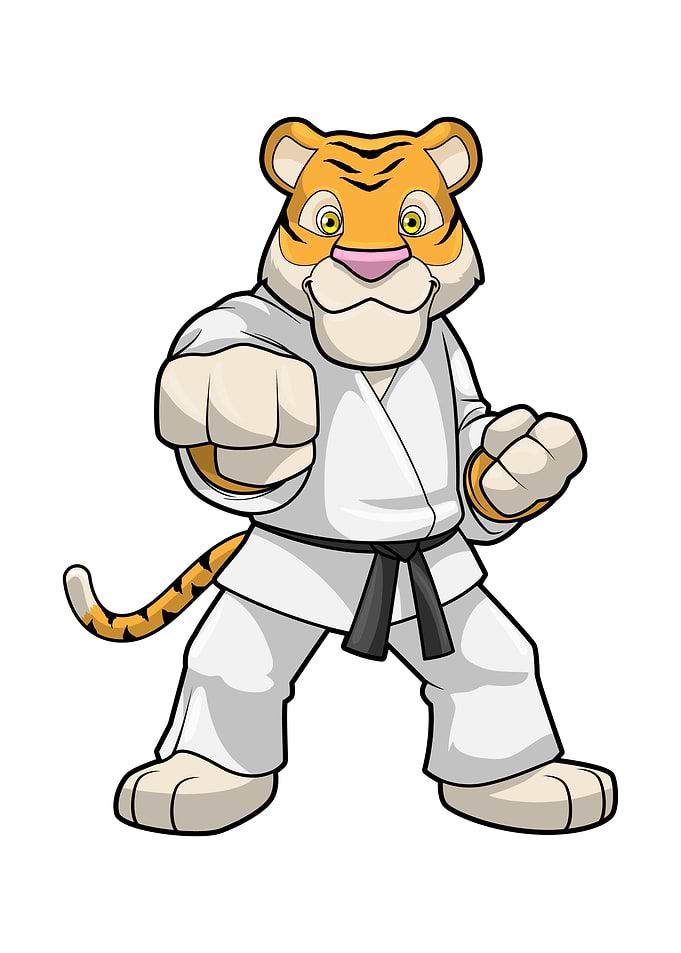 Tiger Karate Martial arts