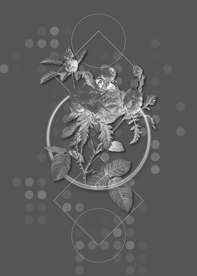 Gray Vintage Cabbage Rose