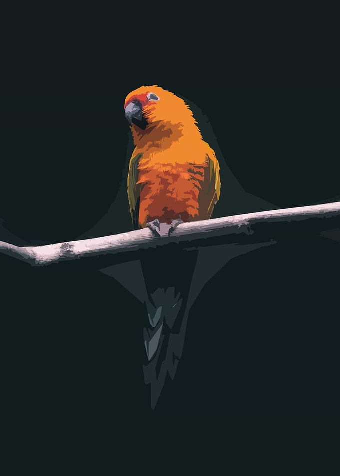 Parrot